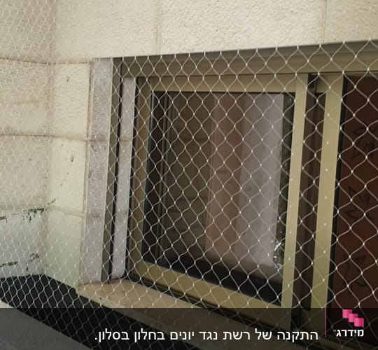 רשת מתכת מותקנת על חלון למניעת כניסת יונים